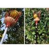 Metal Fruit Picker Telescopic Length Deep Basket Picking for Head Catcher for Home Farmhouse Garden Apples Pears Oranges X3UC