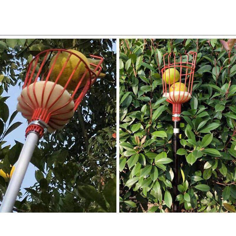 Metal Fruit Picker Telescopic Length Deep Basket Picking for Head Catcher for Home Farmhouse Garden Apples Pears Oranges X3UC