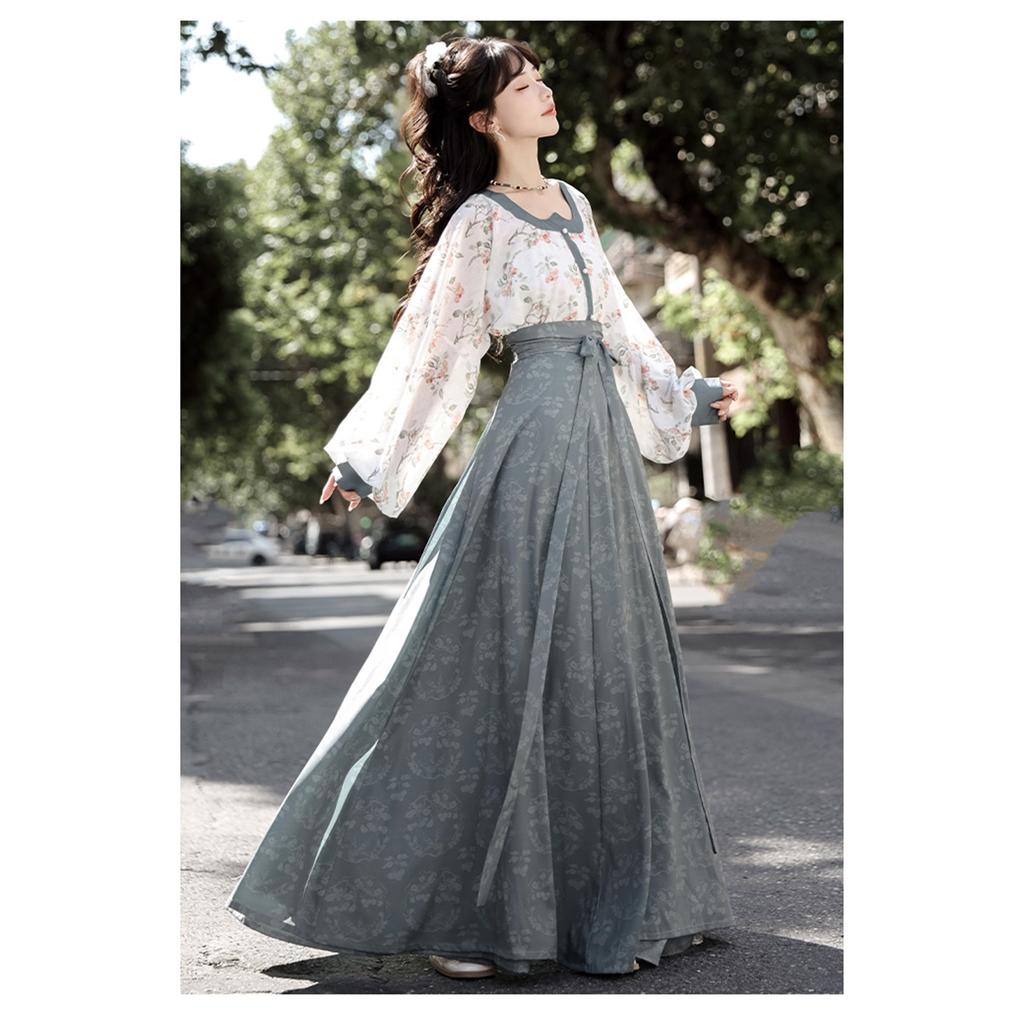 Chinese Song Dynasty Style Hanfu For Women's Temperament Hanfu Set Daily Set