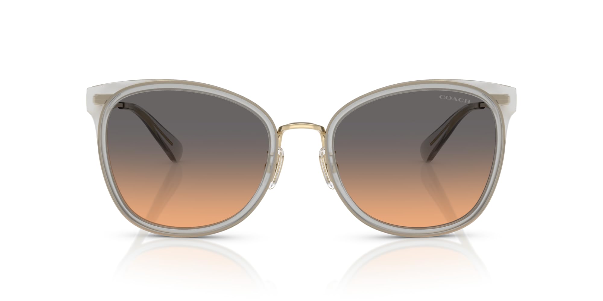 

Sunglasses 0HC7170 Light 56 [Coach] Gold/Dove