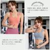FLYSHION Sports Firm Stretchy Training Mesh Bra, Support, Wear, Material, Sweat-Wicking, Quick-Drying, 2-Pack