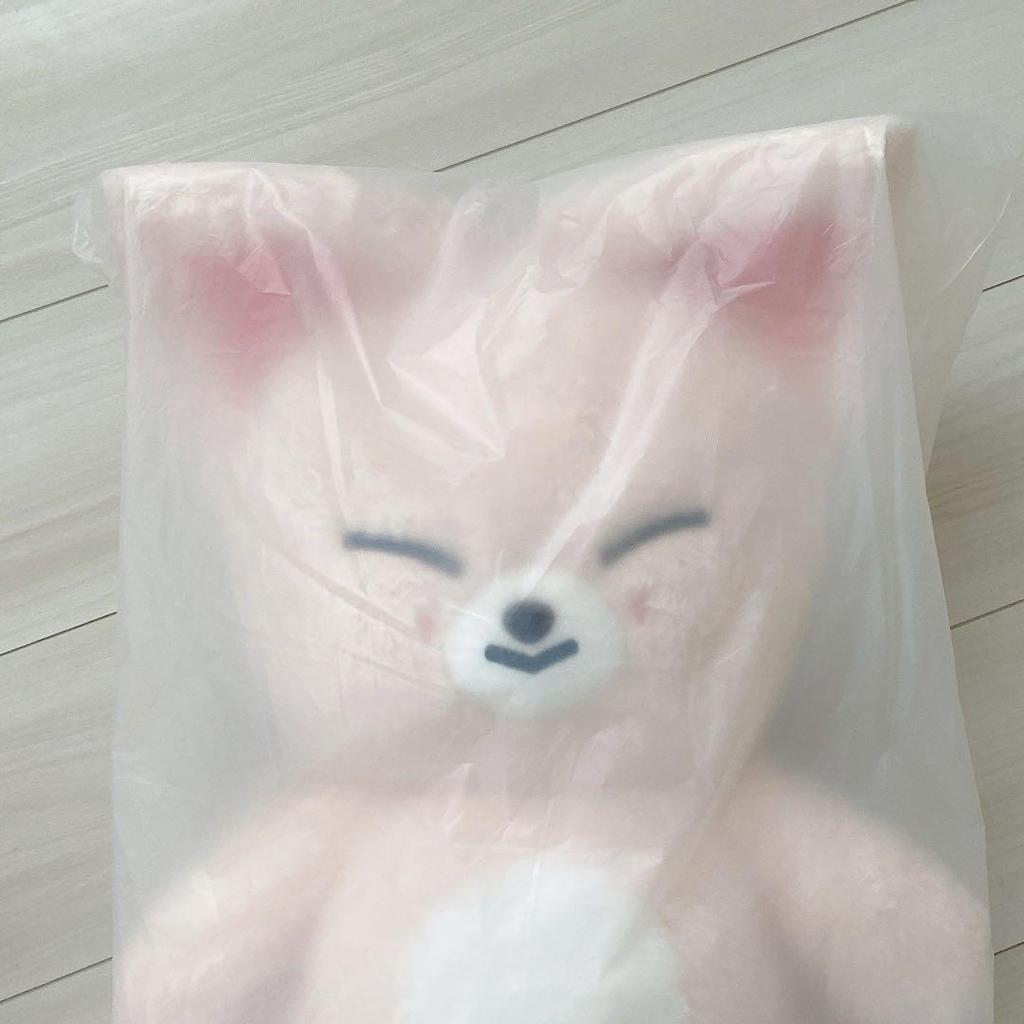 [USED] Foxiny Ien Skiz Teddy