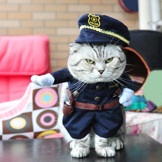 

Костюм для собаки, забавная одежда с париком, комплект тонкой работы, милые комичные наряды для Хэллоуина, рождественских вечеринок