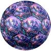1pc Fantasy Dragon Garden Theme Soccer Ball Football, Size 5, Lightweight PVC, Durable Outdoor Training Soccer Ball, Gift m61453