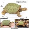 Wild Animal Model: Children's Simulation Turtle Gift Set - Tortoise Variants & Spiderweb Design.