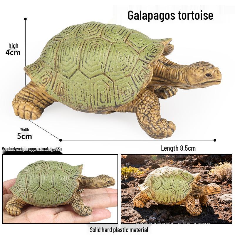 Wild Animal Model: Children's Simulation Turtle Gift Set - Tortoise Variants & Spiderweb Design.