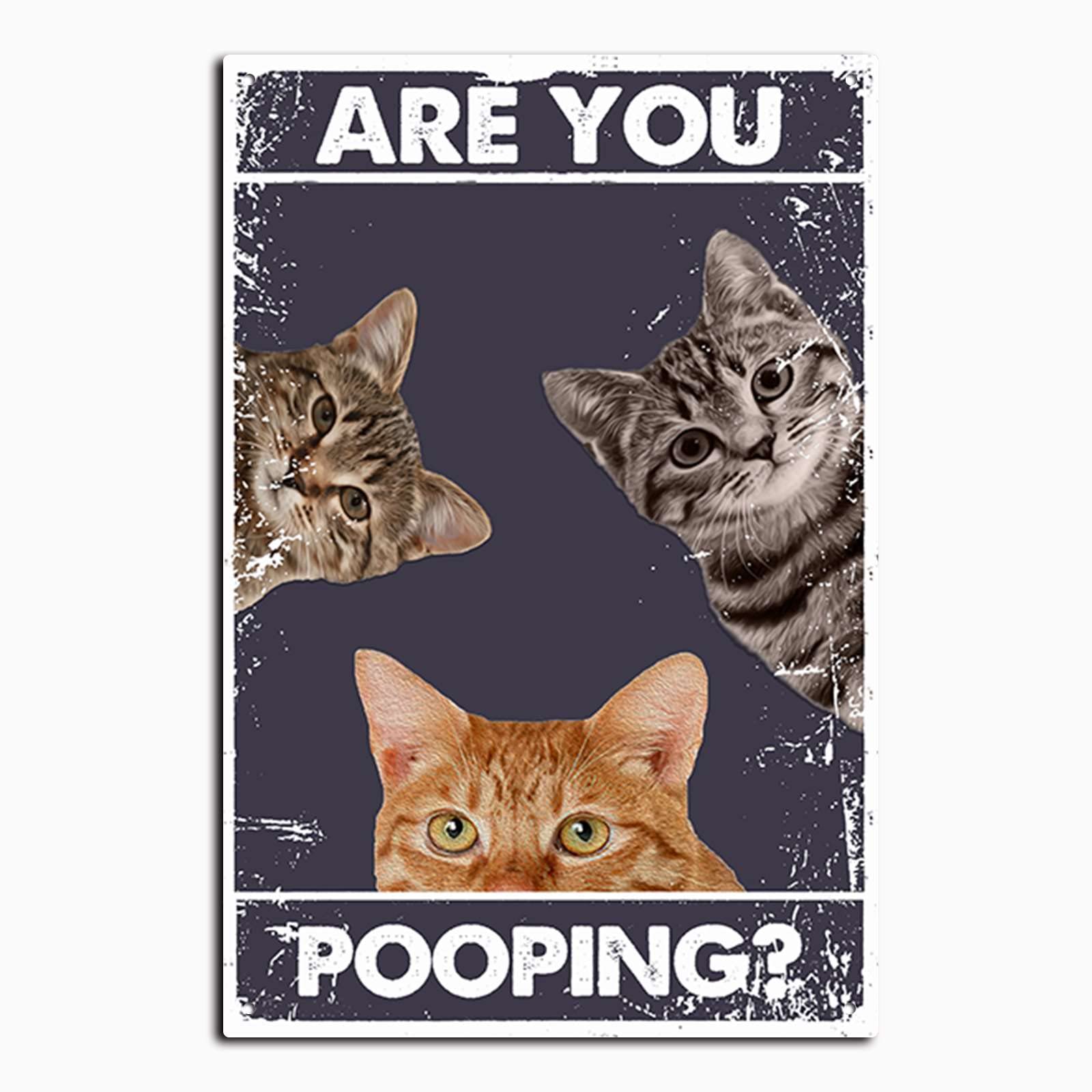 Metal Signs Funny Bathroom Funny Cat are You Pooping Signs Funny Tin Signs Bathroom Restroom Wall Toilet Decor Tin Sign 20x30cm(7.8x11.8inch)