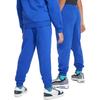Nike Kids Knitted Sweatpants Moderate FD3031-480
