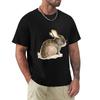 The Black Bunny TShirt Hippie Clothes Plain Designer T Shirt Men