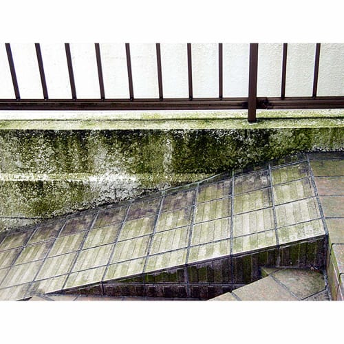 Toyaku Moss and Mold Remover 420ml