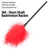 SM Feather Teasing Stick - Exquisite Flirting Tool, Ideal Adult Sex Accessory for Intimate Moments