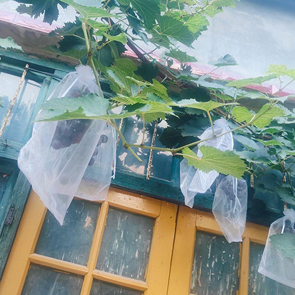 100pcs White Grapes Fruit Grow Bags Mesh Grape Protection Cover For Pest Control Anti-Bird