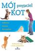 My Friend the Cat. Play, Training, Discipline