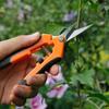 1PCS Bud Trimming Scissors Professional Stainless Steel Gardening Hand Pruners Micro-Tip Pruning Snips with Straight Blades for Herb Plants Flowers