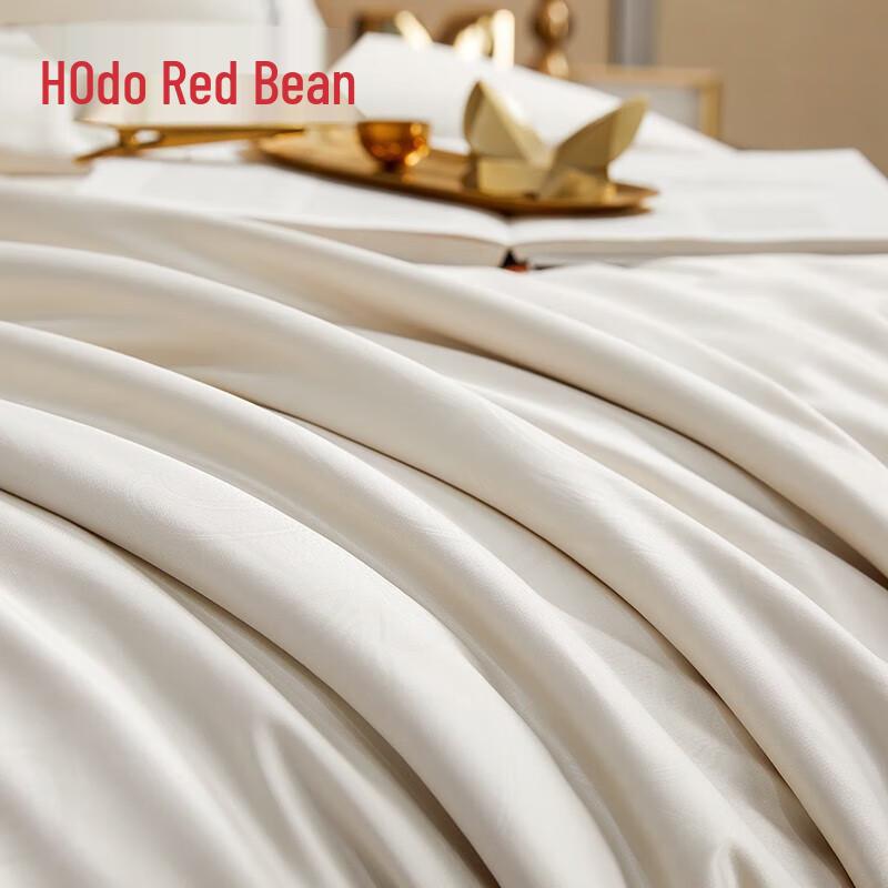 HONGDOU 100% Mulberry Silk All-Season Comforter
