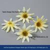 Champagne Silk Imitation Flowers for Hairpins, Hanfu Headdresses, Souvenirs, and Performance Accessories.