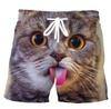 Men's Cute Dog 3D Printing Summer New Casual Vacation Beach Fun Animal Pattern Sports Shorts