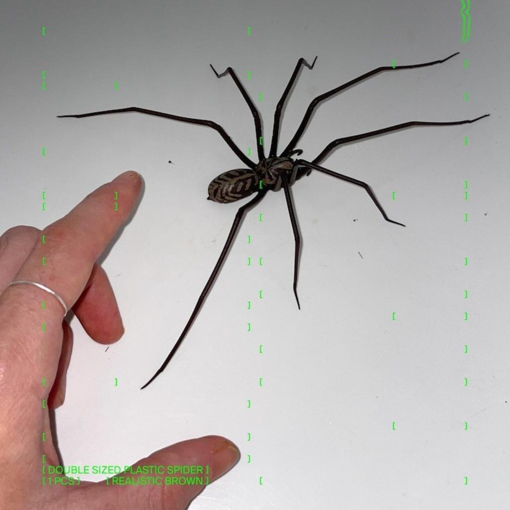 Ragno Decorativo in Plastica, Scherzo di Halloween, Ragno Gigante Spaventoso per Scherzi, Ragno Finto per Decorazione Casa, Vetrine e Regalo Scherzoso