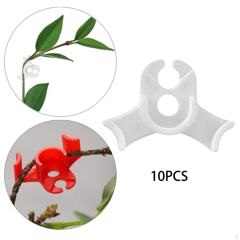 10 Pcs for Training Avoid s Crowding Low Stress Trainer Garden Fixing Clips