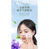 Bamboo Charcoal Facial Oil Blotting Paper With Mirror For Makeup Touch Up