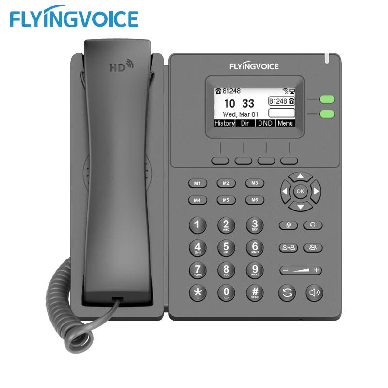 Flying Voice P20 Wireless SIP IP Phone (CN Version)