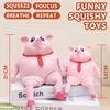 Cute Squishy Pig Stress Relief Pig Squeeze Toys to Anxiety, Funny Stretch Animal Splat Toys for Autism & ADHD Decompression Toy