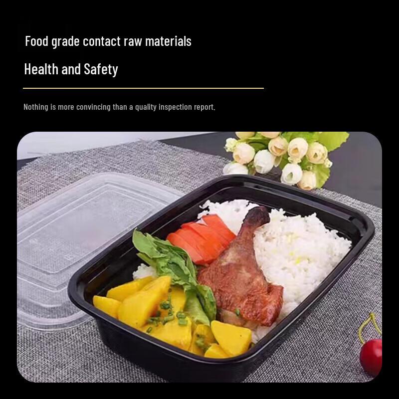 Disposable Rectangular Food Containers with Lid