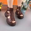 Summer 2025 New Style Women's Thick-soled Anti-slip Hollowed-out Ankle Boots Roman Shoes Open-toe High-top Women's Sandals
