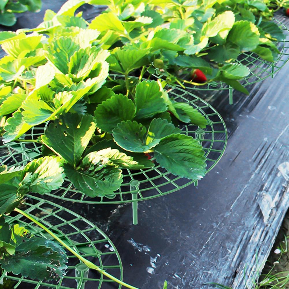 Strawberry Supports Keeping Plant Fruit Stand Vegetable Growing Rack Garden Tools for Protecting Vines Avoid Ground Gardening