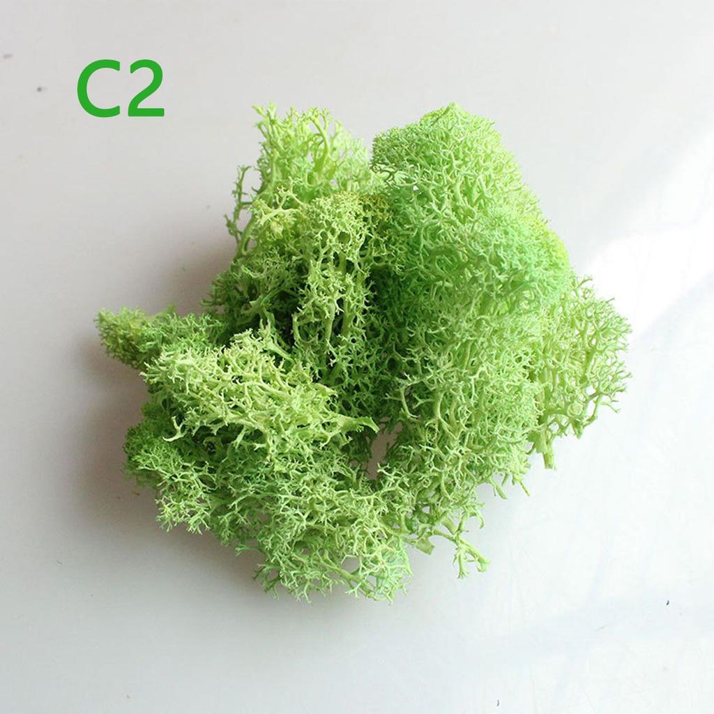 Colorful DIY Wedding Flower Home Decor Christmas Artificial plant Micro Landscape Eternal Life Moss Reindeer Moss