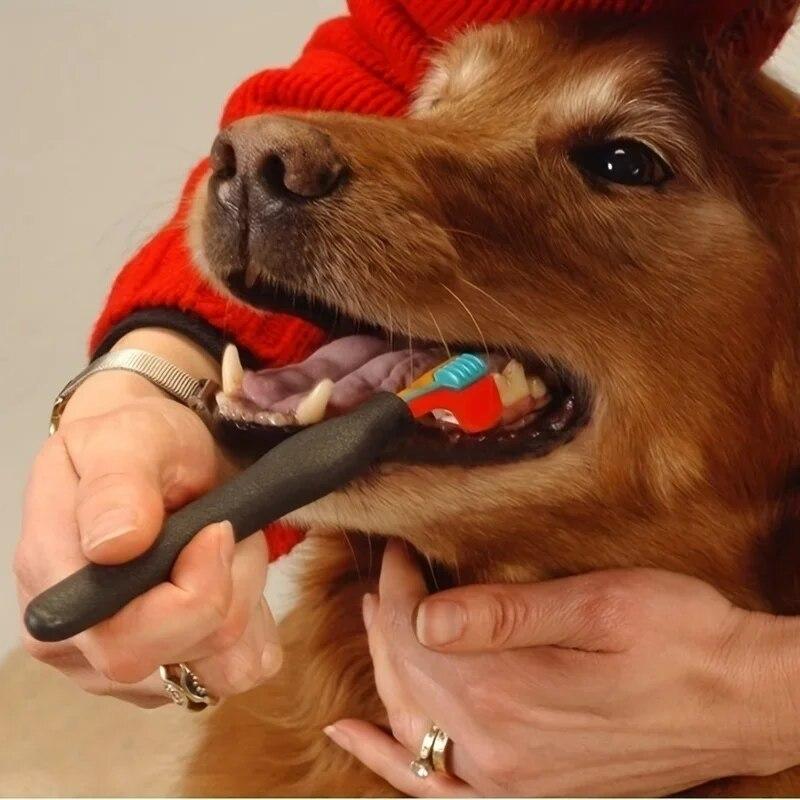 3-Sided Pet Toothbrush for Effective Dog & Cat Teeth Cleaning Oral Care Three-Head Multi-angle Toothbrush Brush Bad Breath Clean