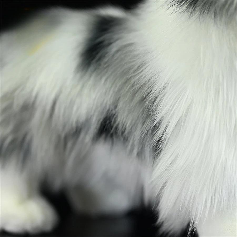 Border Collie Hohe Treue Anime Niedlicher Plüschtier Schäferhund Plüschtiere Lebensechte Tiere Simulation Stofftier Kawaii Spielzeug Geschenke