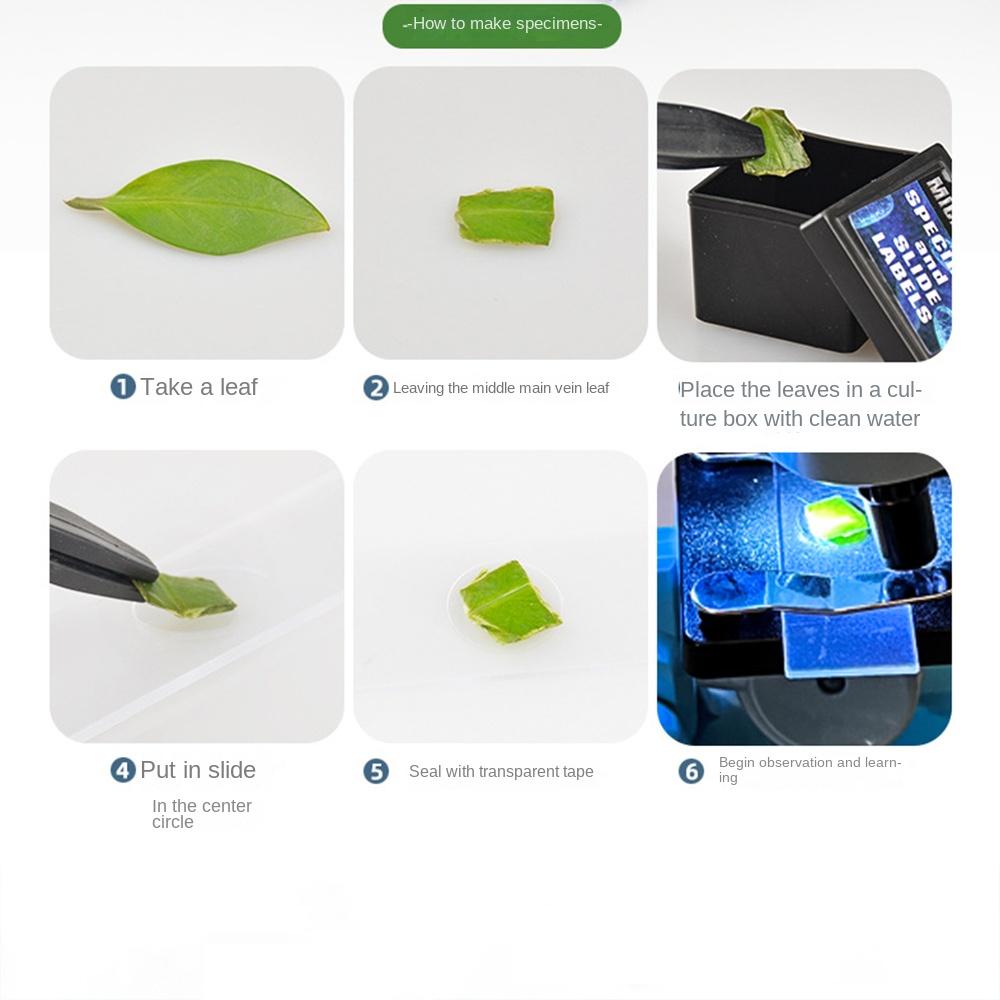 Magnification Kids Microscope 1200X Pocket Microscope Scientific Microscope  Kid Science Experiment