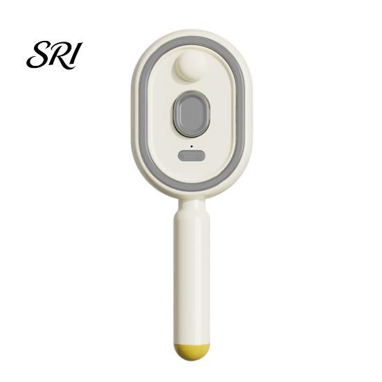 Spazzola per Capelli Lisciante Elettrica con Spruzzo ad Aria e Cuscino d'Aria 2-in-1 Nebulizzante con Facile Utilizzo Acqua Riduce l'Effetto Crespo Antistatico Ritrattile Vapore Massaggio Pettine