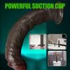 Big Realistic Dildo for Women Beginners Skin Sliding Foreskin Anal Vagina G Spot Stimulation Artifical Penis Sex Toy Masturbator