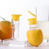 2 ks Spiralový design Odšťavňovač na citrony Manuální citrusový odšťavňovač Nástroj na mačkání citronů Filtr na citrony Pomeranč