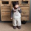 Hildren's Clothing Autumn and Winter  New Orean Version of Children's Clothing Baby Velvet Primer Boys Cotton Vest Thickened Set