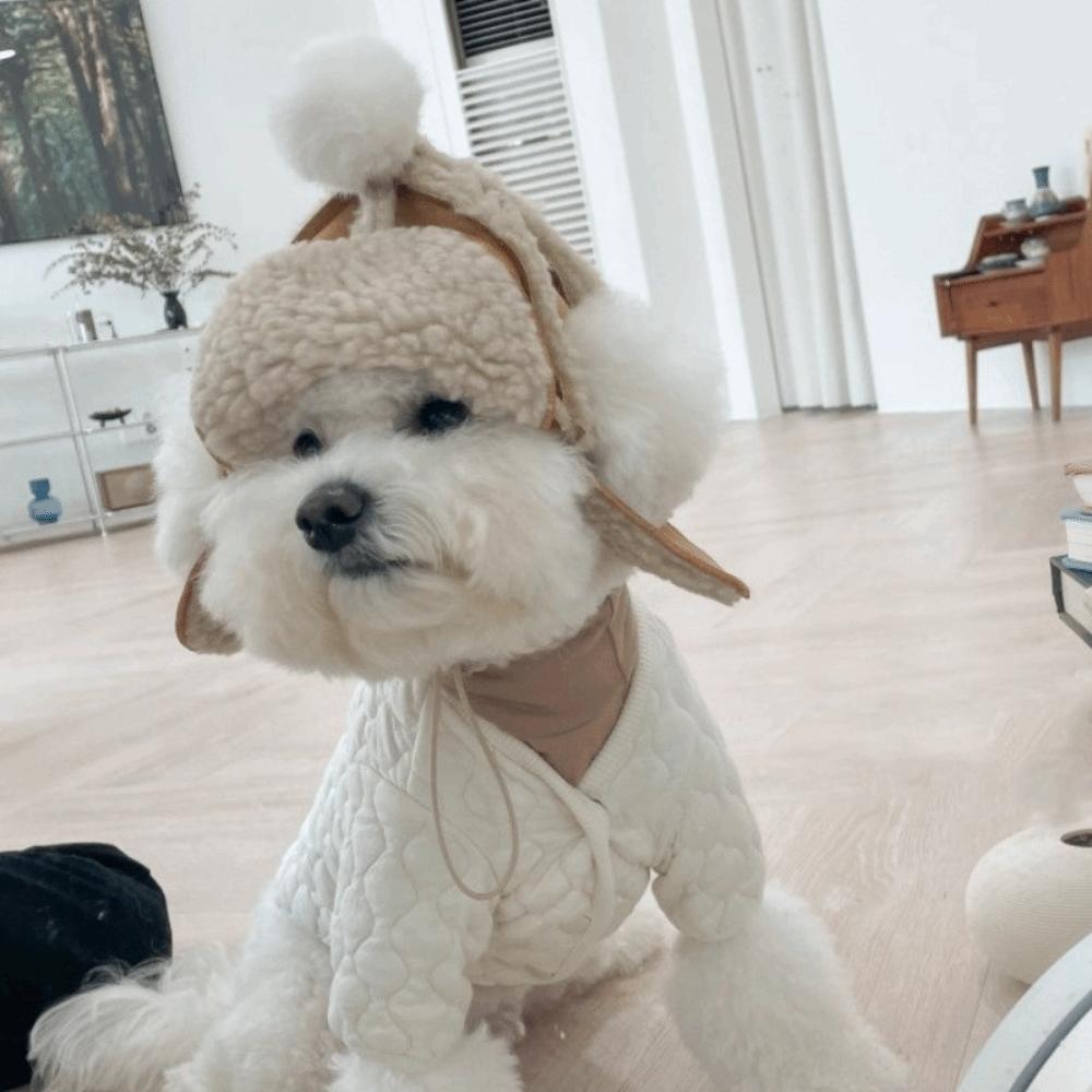 Koreanischer Stil Warme Katze Fliegerhut Lammfell Winddicht Flauschiger Hundehut mit Ohrloch Winter Hundehut Outdoor-Aktivitäten