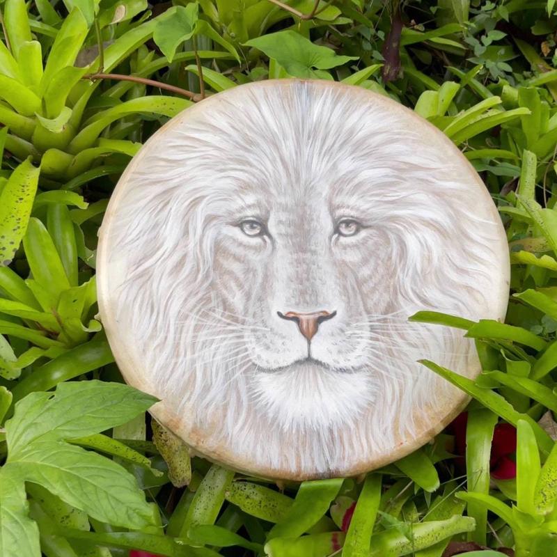 Spirit Music Shaman Drum Exquisite Appearance Office Decorations Ornament Gifts