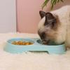 Plastikowe miski dla kota w kolorach cukierkowych i owalne podwójne miski dla zwierząt w kolorach makaronikowych