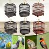 Păsări – Cuști pentru păsări și accesorii