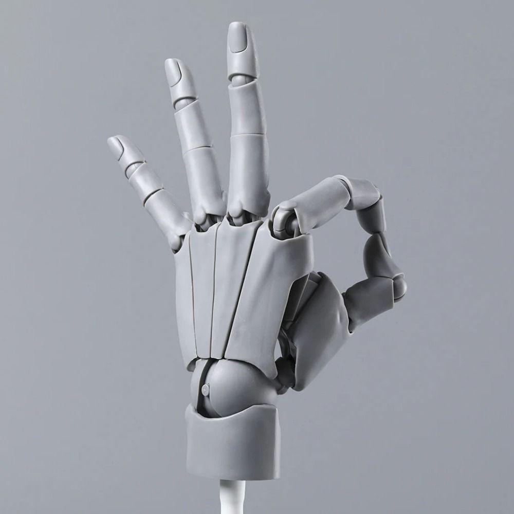 Left/Right Anatomically Accurate Jointed Hand Simulation Sketching Painting