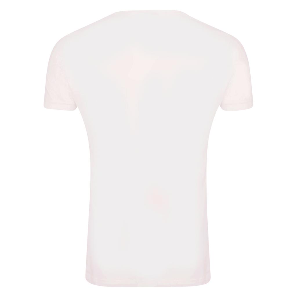 Pink Floyd Unisex Adult Lichtenstein Prism T-Shirt