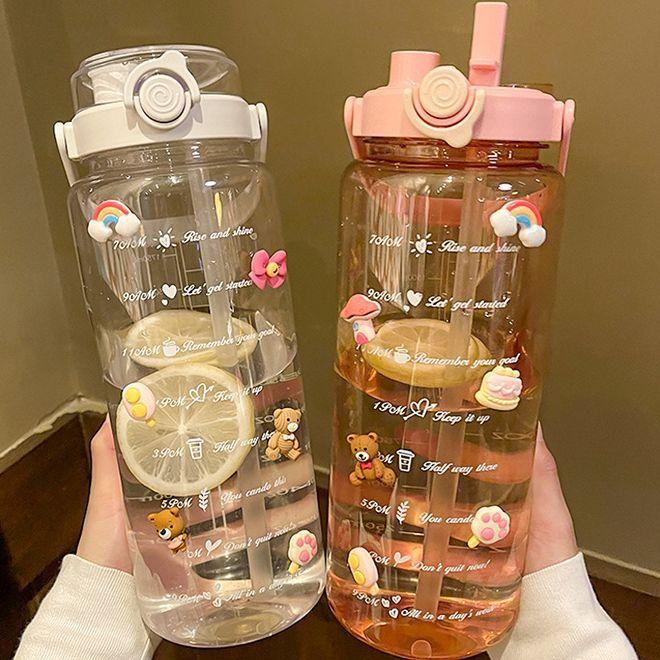Outdoor high-value portable water cup Plastic cup with straw Double drinking cup