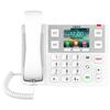 Fanvil X305 Wired/Wireless IP Phone (CN Version)