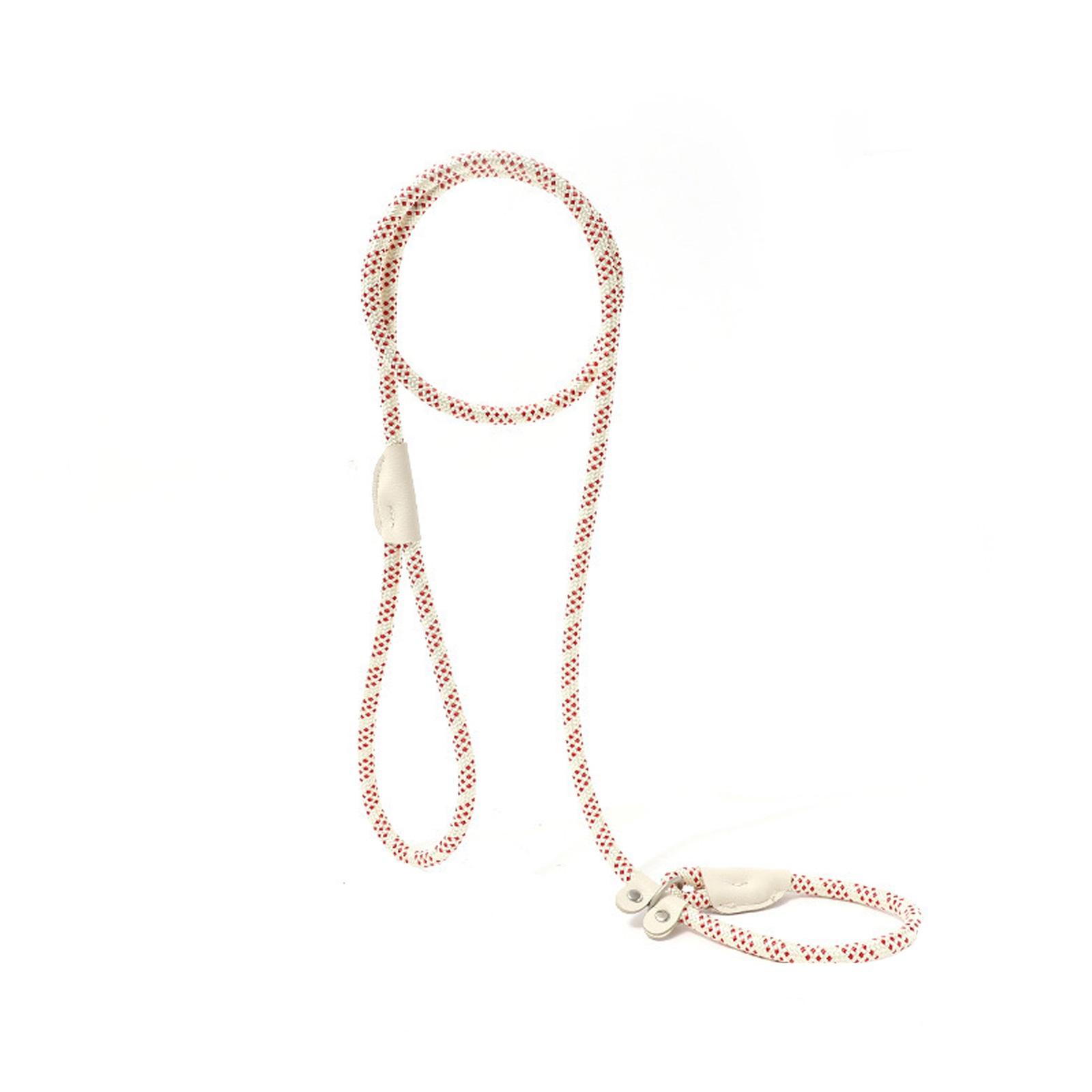 

Pet Leash, Explosion-proof P-chain, Nylonbraided Dog Leash, Dog Walking Leash, P-rope One Size