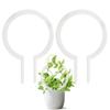 Weather-resistant Plant Trellis Transparent Climbing Plant Support  Climbing Vines