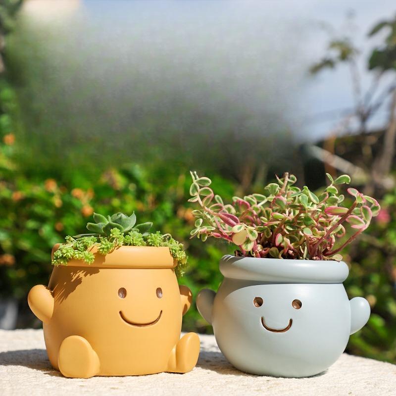 Succulent Flower Pot  Smiling Face Green Plant Pot Creative Expression Flower Pot Home Courtyard Landscape Flower Pot Ornament