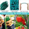 100/20x Plant Stakes Garden Green Single Stem Plant Support Stakes Sticks for Indoor Outdoor Vine Climbing Bracket Gardening