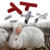 Rodent Water Feeder Feeding Watering Supplies 10 PCS Rabbit Drinking Fountains Rabbit Drinker Rabbit Mouse Nipple Water Drinker